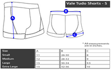 Load image into Gallery viewer, PIT Vale Tudo Shorts